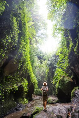 Bali, Endonezya'da ormanda bir kadın 