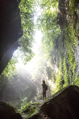 Bali, Endonezya'da ormanda bir kadın 