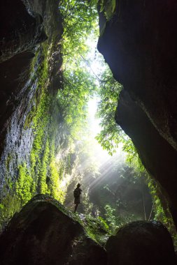 Bali, Endonezya'da ormanda bir kadın 