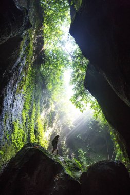 Bali, Endonezya'da ormanda bir kadın 