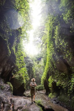 Bali, Endonezya'da ormanda bir kadın 