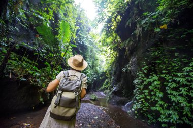 Bali, Endonezya'da ormanda bir kadın 