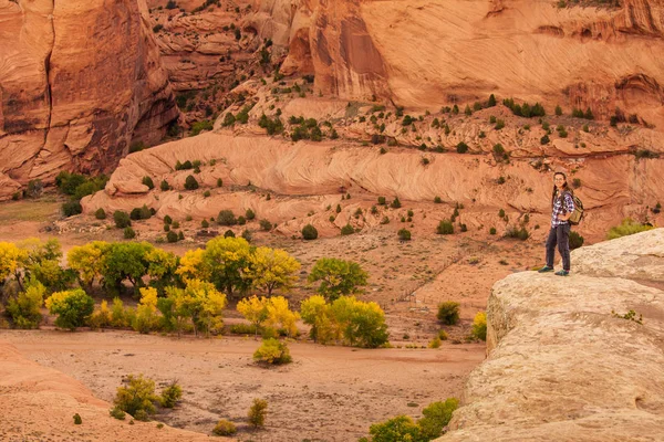 Kanyon de Chelly Ulusal Anıtı'nda bir yürüyüşçü