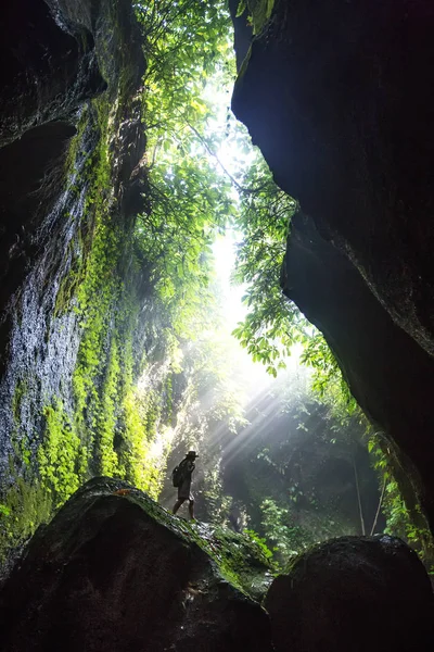Bali, Endonezya'da ormanda bir kadın 