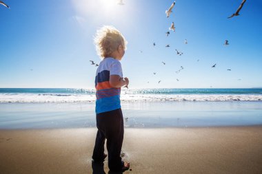 Mutlu ve özgür çocuk sahilde martılarla