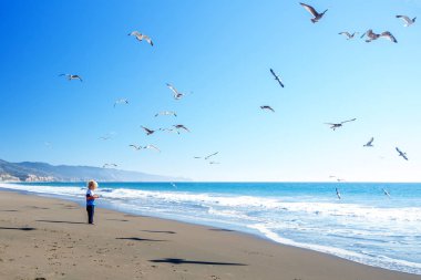 Mutlu ve özgür çocuk sahilde martılarla