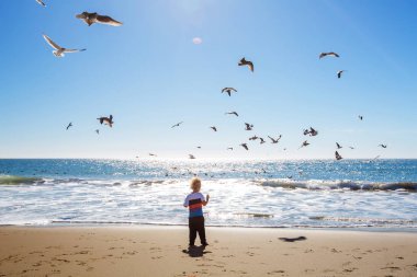 Mutlu ve özgür çocuk sahilde martılarla