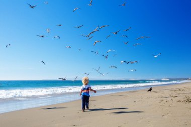 Mutlu ve özgür çocuk sahilde martılarla