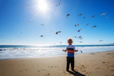Mutlu ve özgür çocuk sahilde martılarla