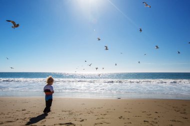 Mutlu ve özgür çocuk sahilde martılarla