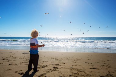 Mutlu ve özgür çocuk sahilde martılarla