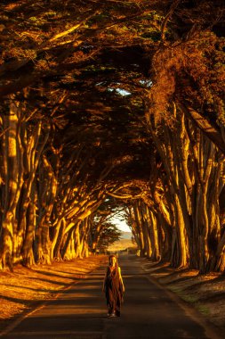 Ağaçlarla dolu bir tünelde mutlu bir kız