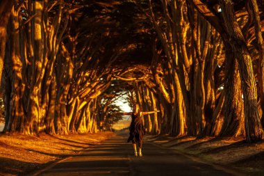 Ağaçlarla dolu bir tünelde mutlu bir kız