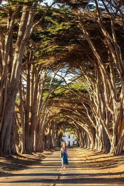 Gelukkig meisje in een tunnel met bomen — Stockfoto