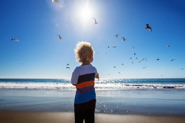 Niño feliz y libre en la playa con gaviotas — Foto de Stock