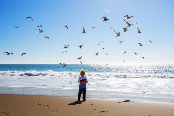 Niño feliz y libre en la playa con gaviotas — Foto de Stock