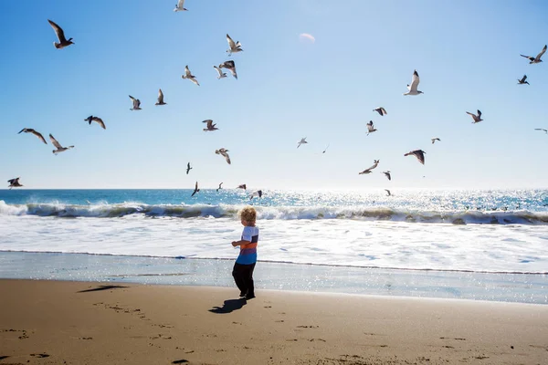 Niño feliz y libre en la playa con gaviotas — Foto de Stock