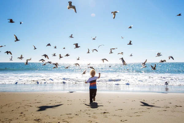 Niño feliz y libre en la playa con gaviotas — Foto de Stock