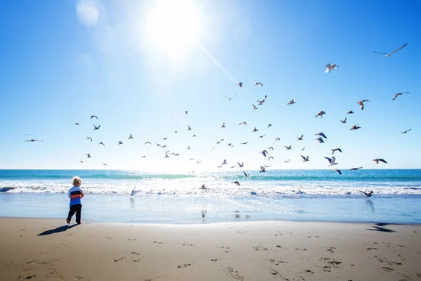 Niño feliz y libre en la playa con gaviotas — Foto de Stock