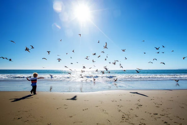 Happy and free boy on the beach with seagulls — Stock Photo, Image