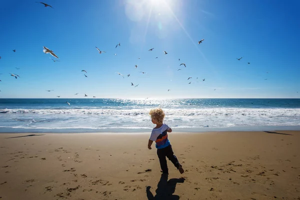 Niño feliz y libre en la playa con gaviotas — Foto de Stock