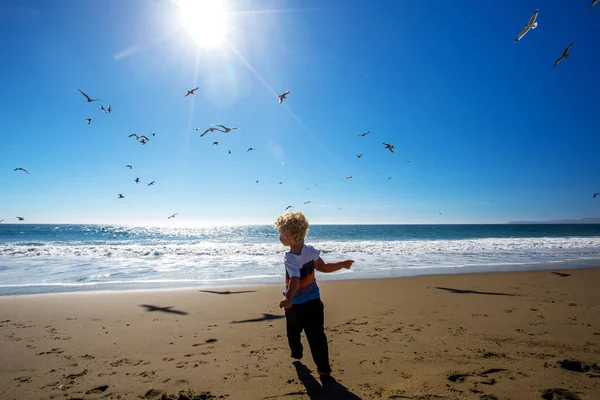 Happy and free boy on the beach with seagulls