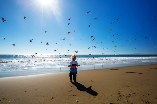 Niño feliz y libre en la playa con gaviotas — Foto de Stock