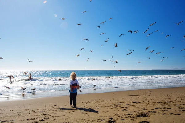 Niño feliz y libre en la playa con gaviotas — Foto de Stock