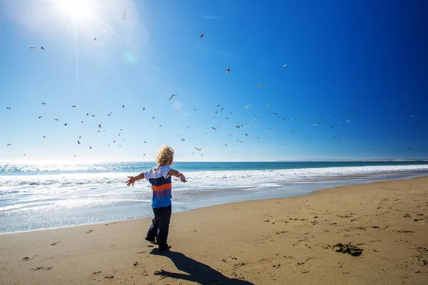 Niño feliz y libre en la playa con gaviotas — Foto de Stock