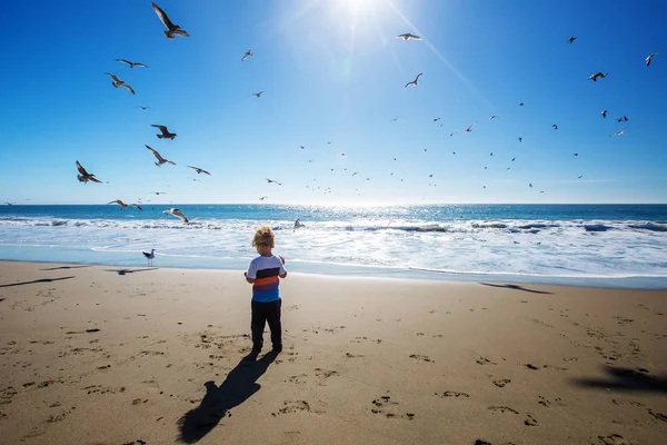 Niño feliz y libre en la playa con gaviotas — Foto de Stock