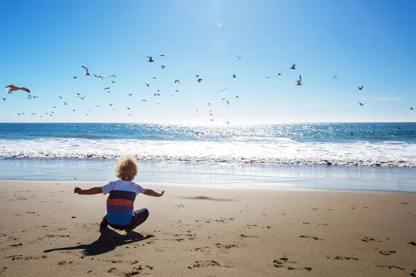 Happy and free boy on the beach with seagulls