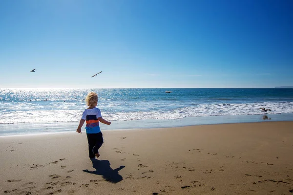 Gelukkige en vrije jongen op het strand met meeuwen — Stockfoto