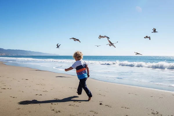 Happy and free boy on the beach with seagulls