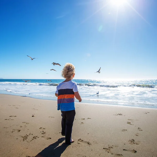 Niño feliz y libre en la playa con gaviotas — Foto de Stock
