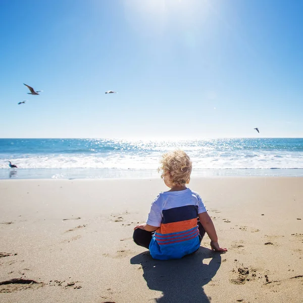 Menino feliz e livre na praia com gaivotas — Fotografia de Stock