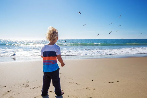 Szczęśliwy i wolny chłopiec na plaży z mewami — Zdjęcie stockowe