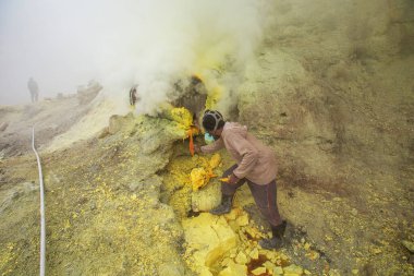 İnsanlar Ijen volkanı, Java ve Endonezya 'da sülfür çıkarıyorlar. 