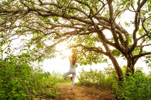 Donna Che Pratica Yoga Tramonto — Foto Stock