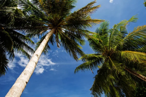 Scenic Togean Island Sulawesi Indonesia — Stok Foto