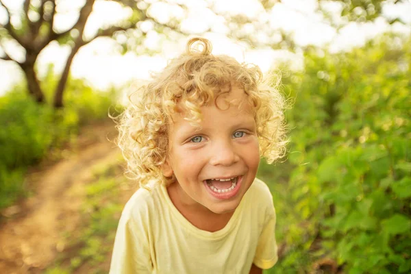 Portrait Curly White Boy Park Sunset Time Stock Picture