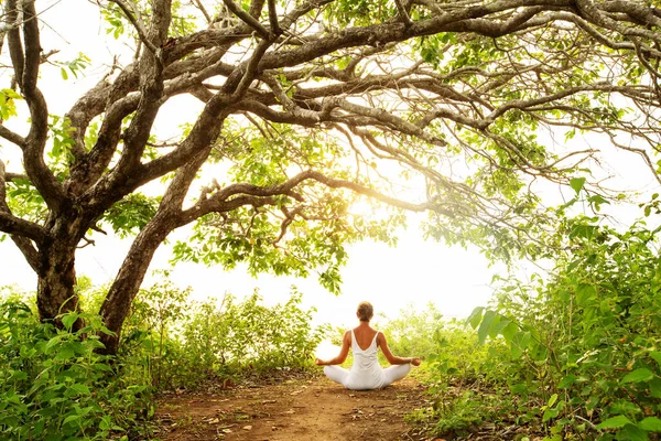Wanita Berlatih Yoga Saat Matahari Terbenam Stok Foto
