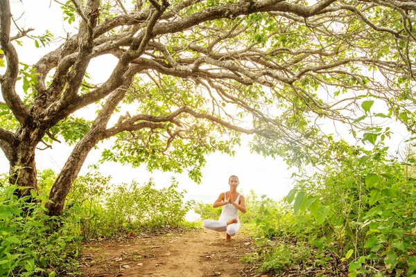 Woman Practicing Yoga Sunset Stock Picture
