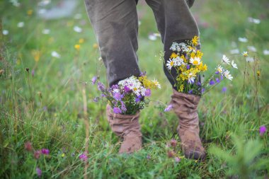 bahçe çiçekleri sonbahar mevsiminde botlarla
