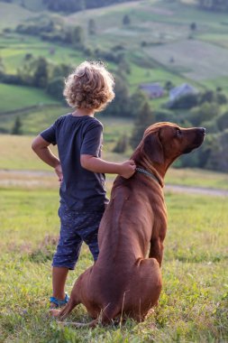 Kıvırcık çocuk ve büyük köpek yan yana oturuyor.