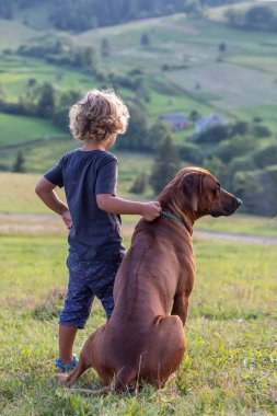 Kıvırcık çocuk ve büyük köpek yan yana oturuyor.