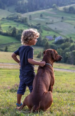 Kıvırcık çocuk ve büyük köpek yan yana oturuyor.