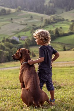 Kıvırcık çocuk ve büyük köpek yan yana oturuyor.