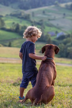 Kıvırcık çocuk ve büyük köpek yan yana oturuyor.
