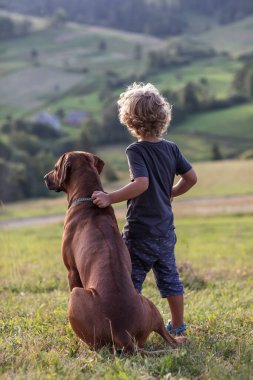 Kıvırcık çocuk ve büyük köpek yan yana oturuyor.