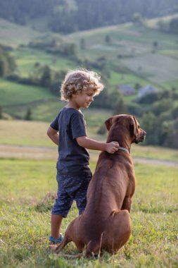 Kıvırcık çocuk ve büyük köpek yan yana oturuyor.